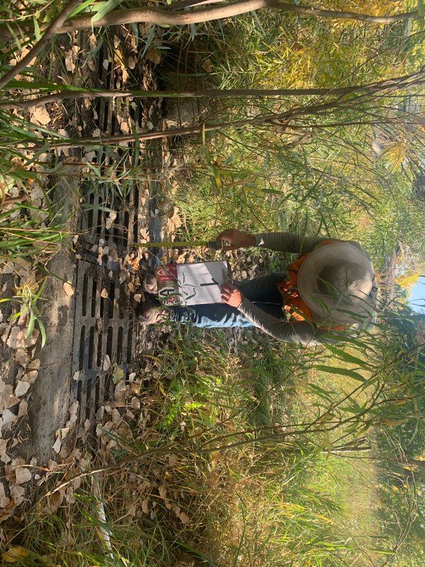 Site Photo 1